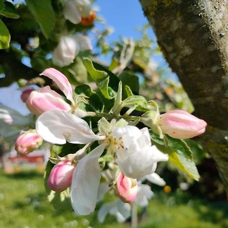 Sommarvilan Ваксхолм Екстериор снимка